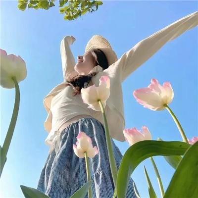 主妇狂想曲