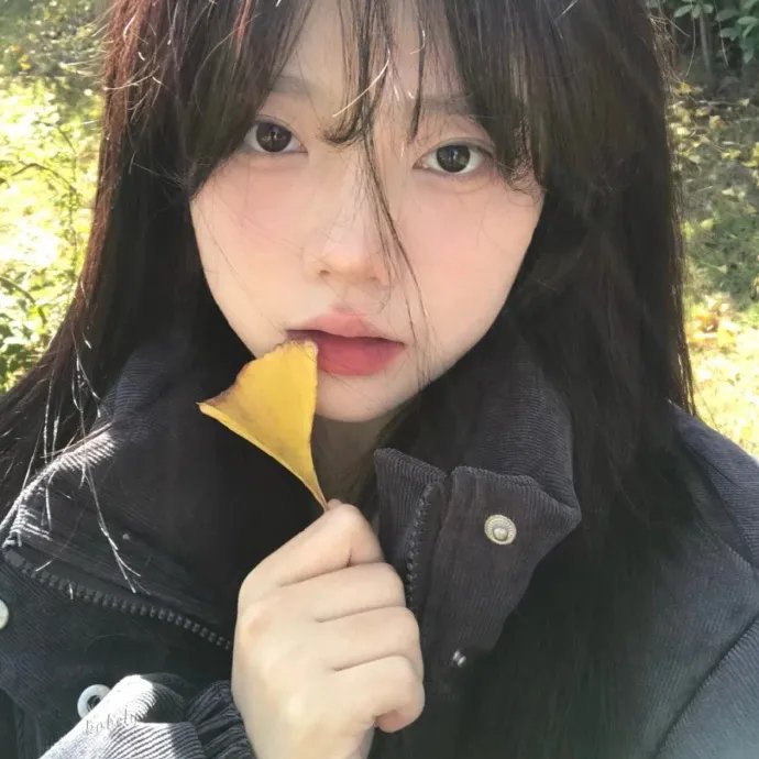 我为刀宗